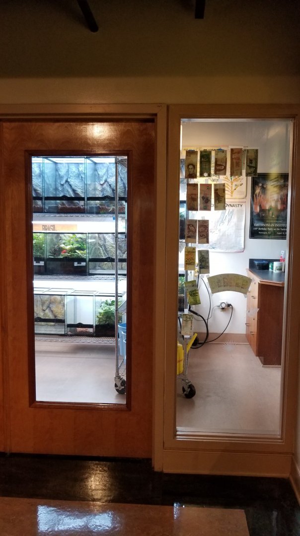 One of the frog rooms, Amazonia