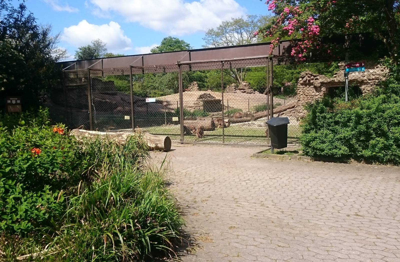 One of the Gelada enclosures