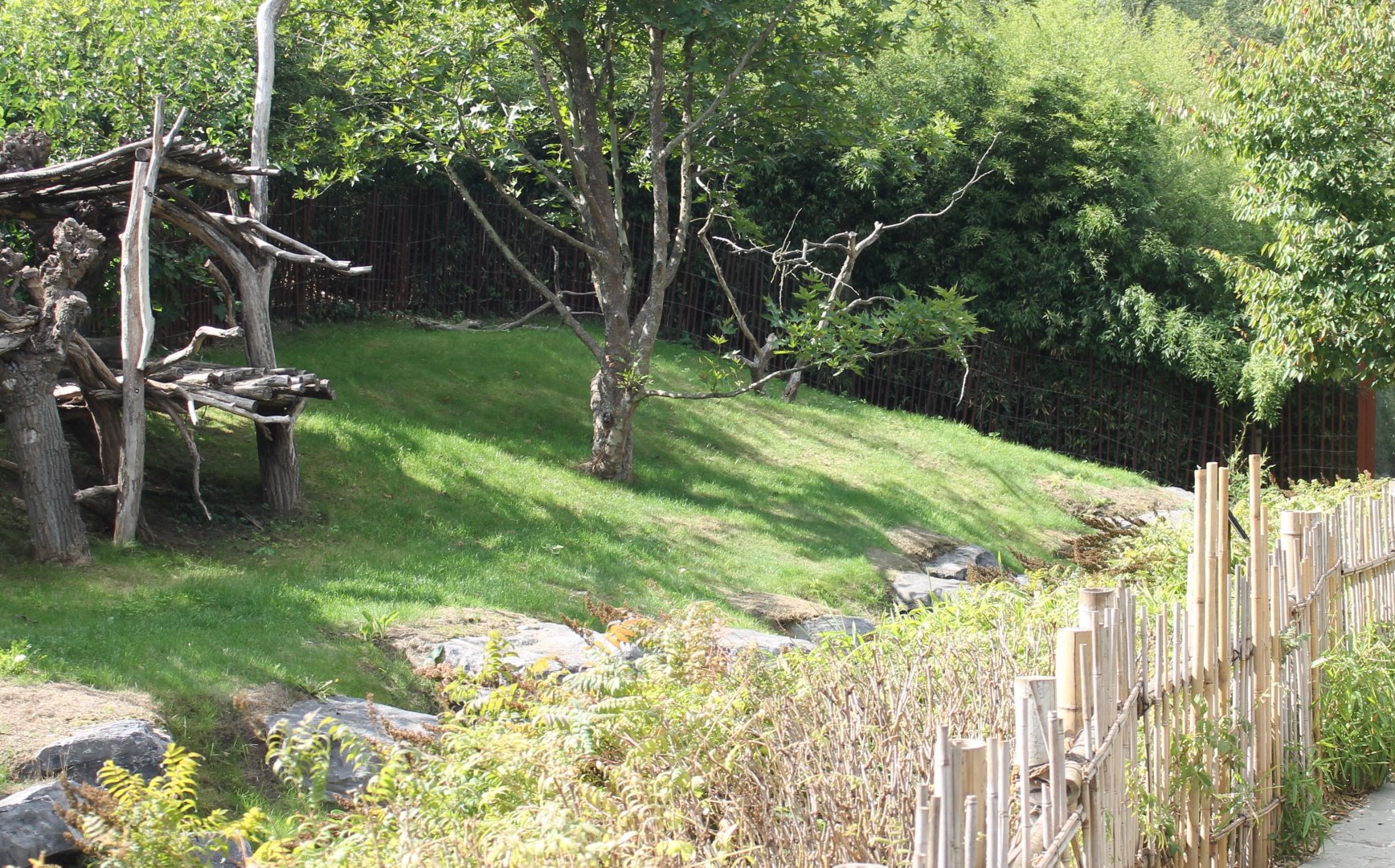 One of the Giant panda-enclosures