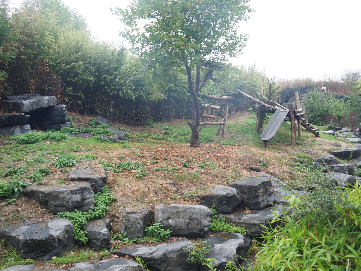 One of the giant panda exhibits, 2022-09-14