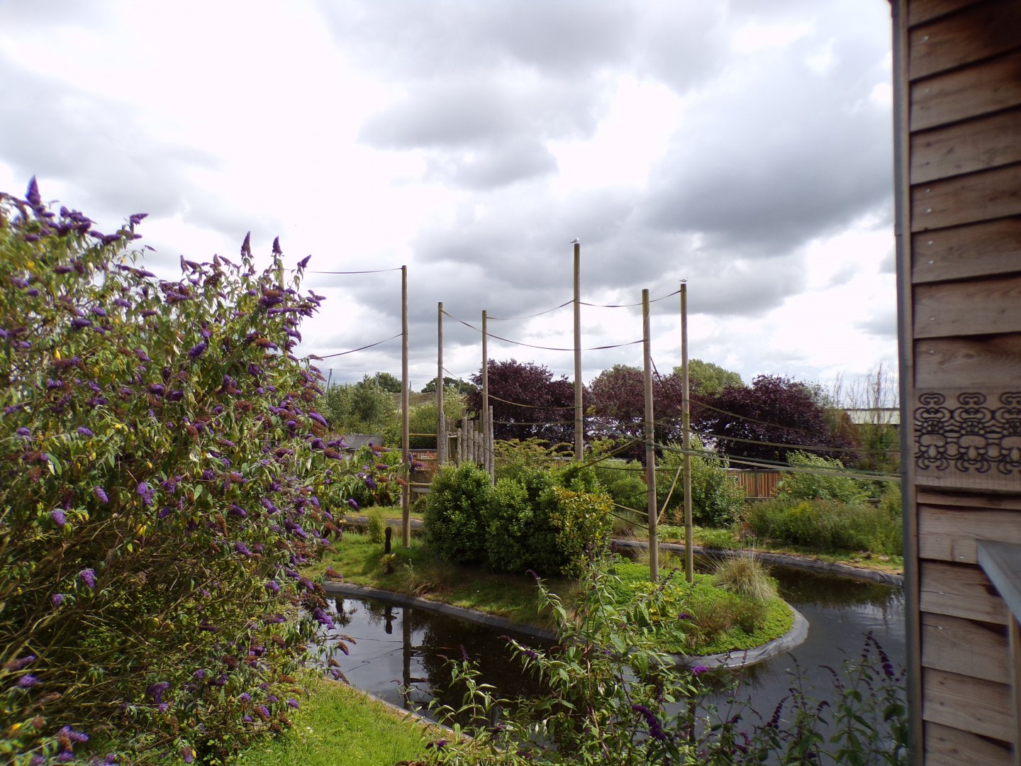 One of the Gibbon forest islands 7.7.24