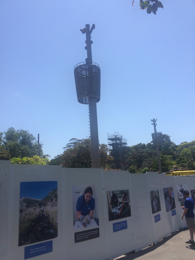 One of the High Poles Near Old Otter and Red Panda Exhibit (13/12/2019)