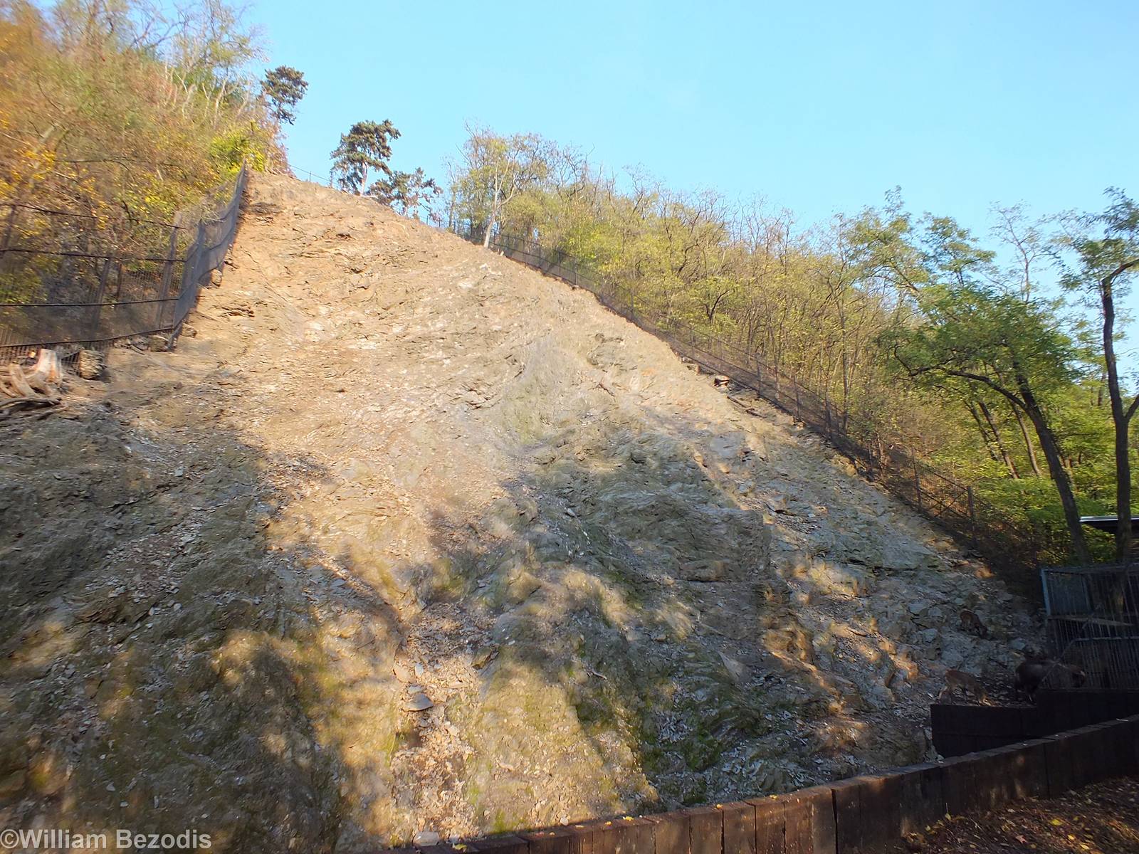 One of the Hillside Hoofstock Enclosures.