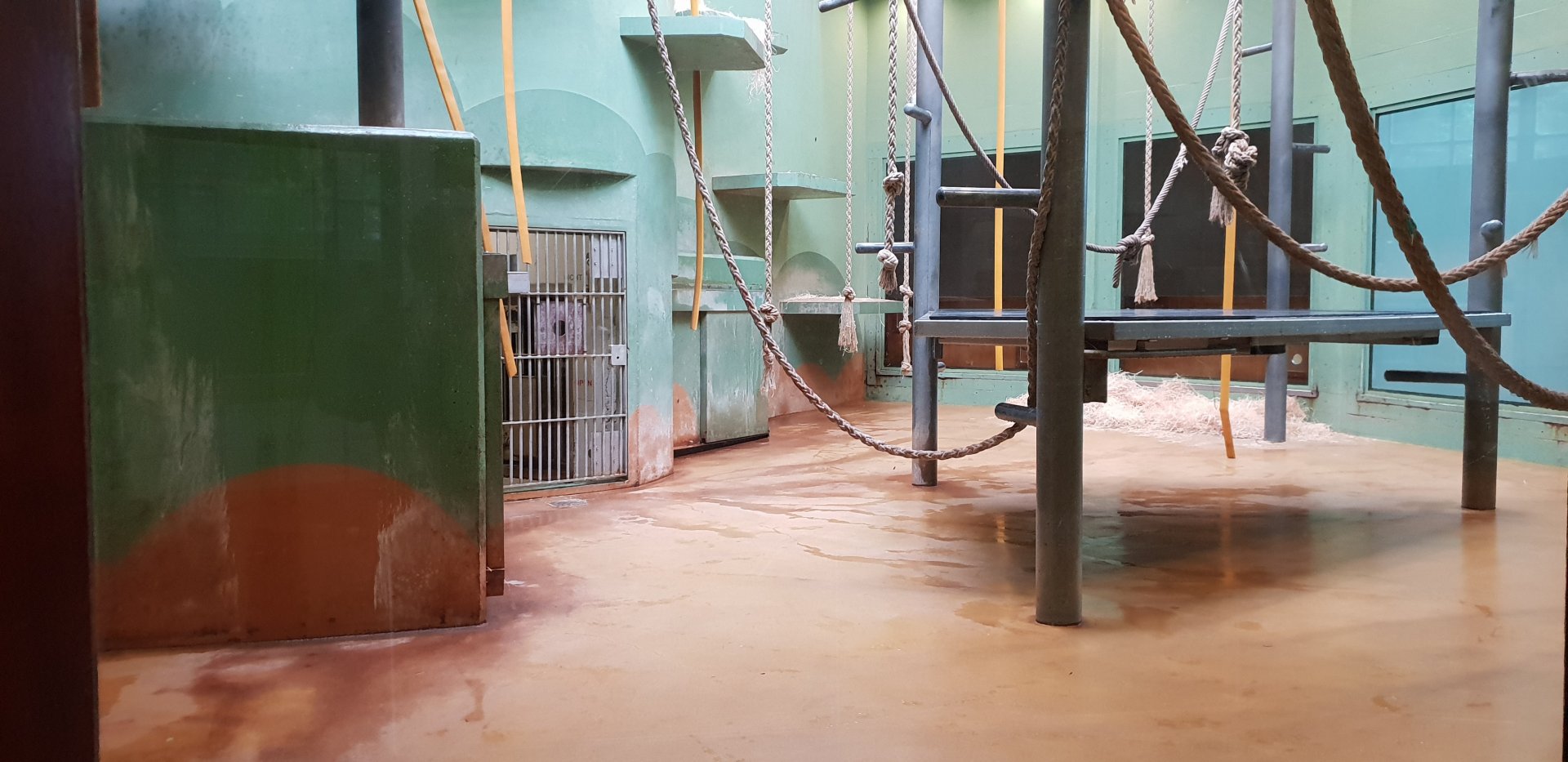 One of the indoor-enclosures