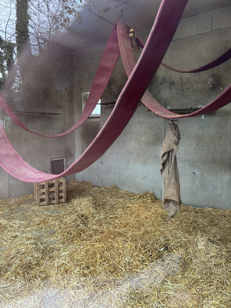 One of the Indoor Macaque Enclosures at Zoo Wassertstern (Ingolstadt)