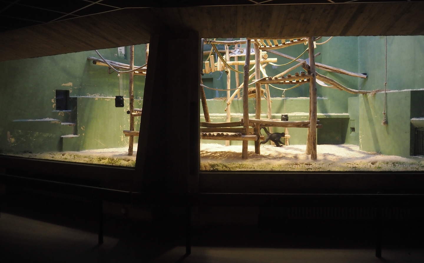 One of the large indoor exhibits in the Small Monkey House, formerly used by mandrills now added to spider monkey exhibit, 2025-11-30