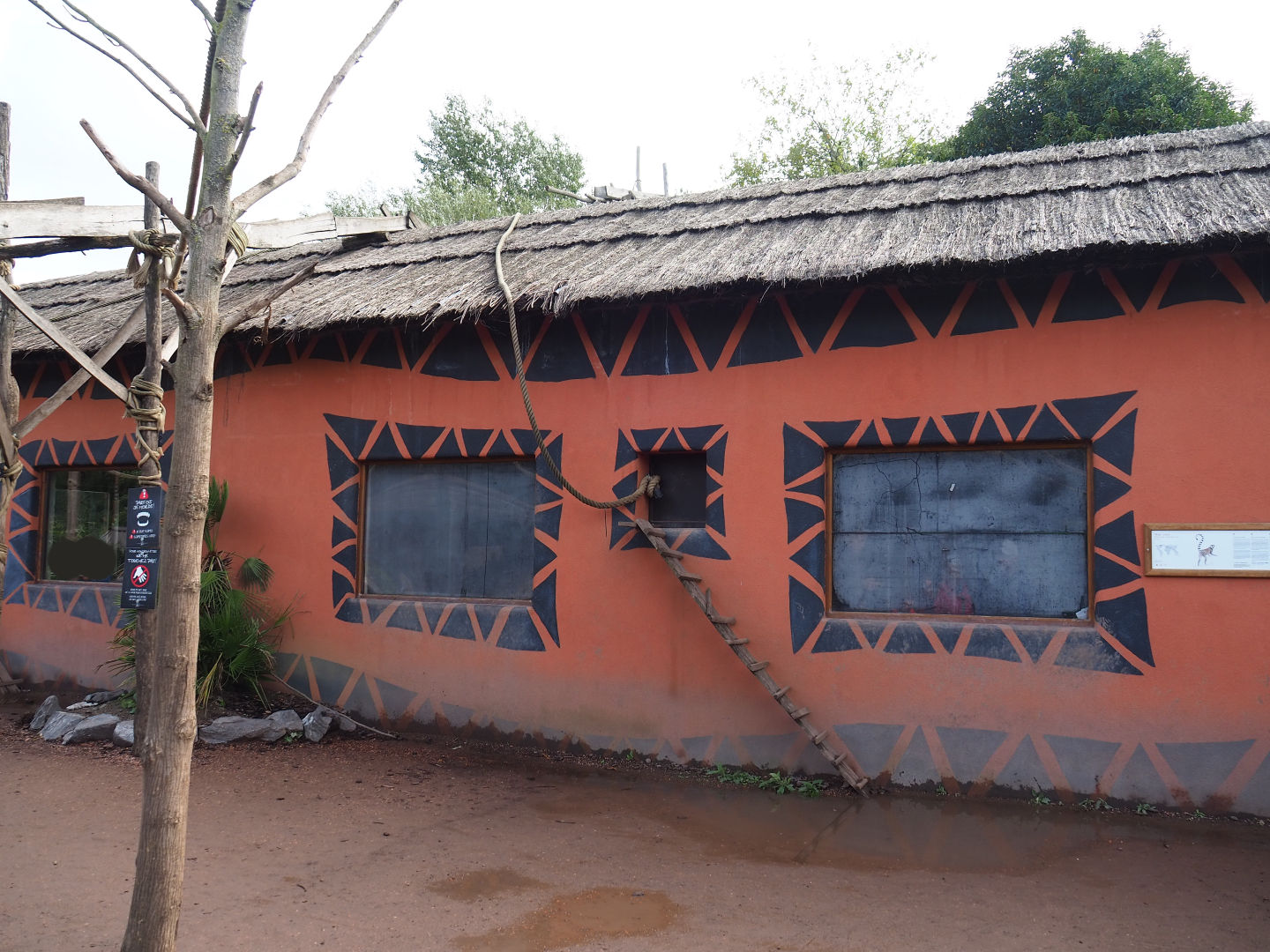One of the lemur houses, 2019-10-04