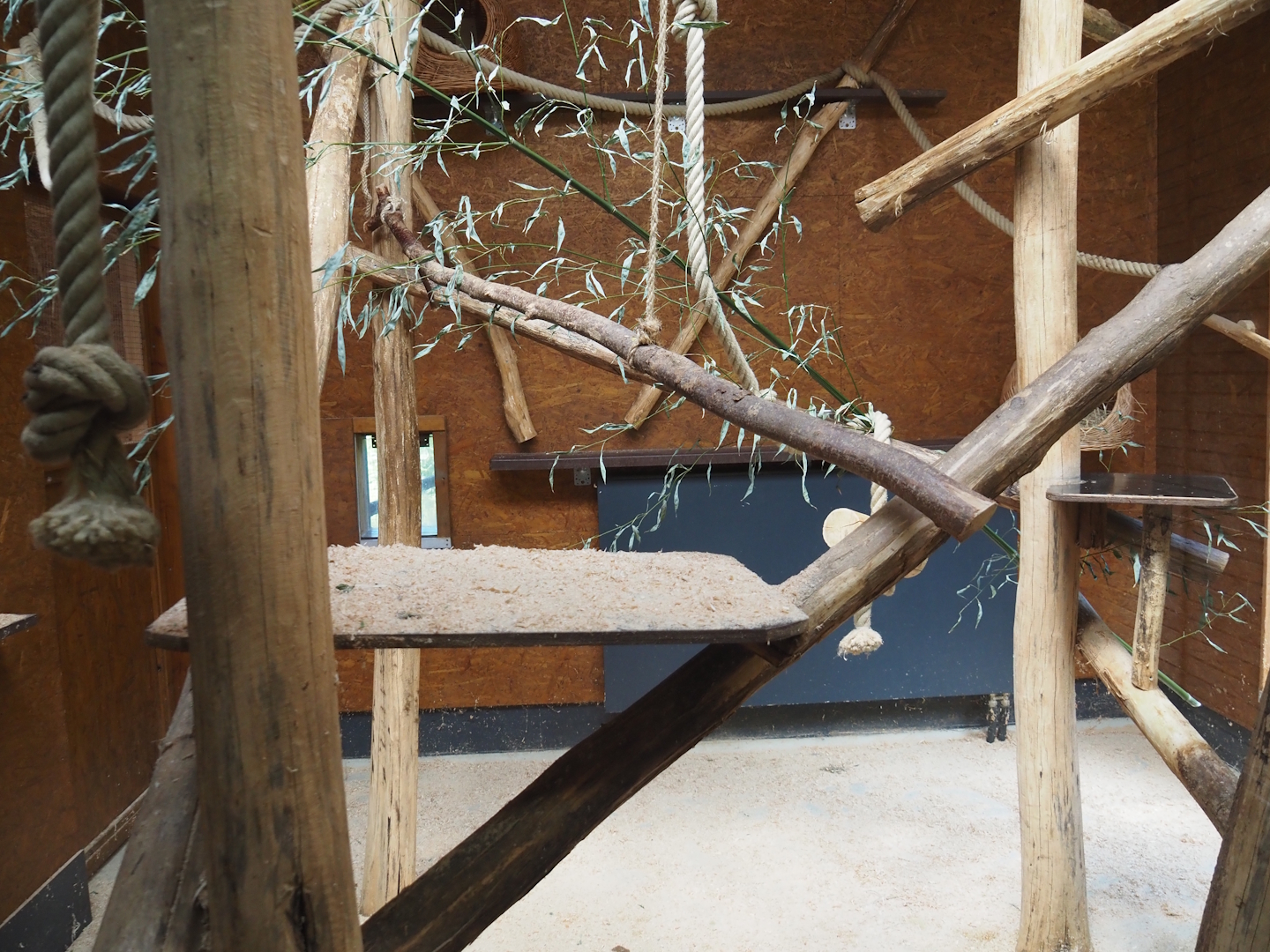 One of the lemur indoor exhibits, 2025-05-22