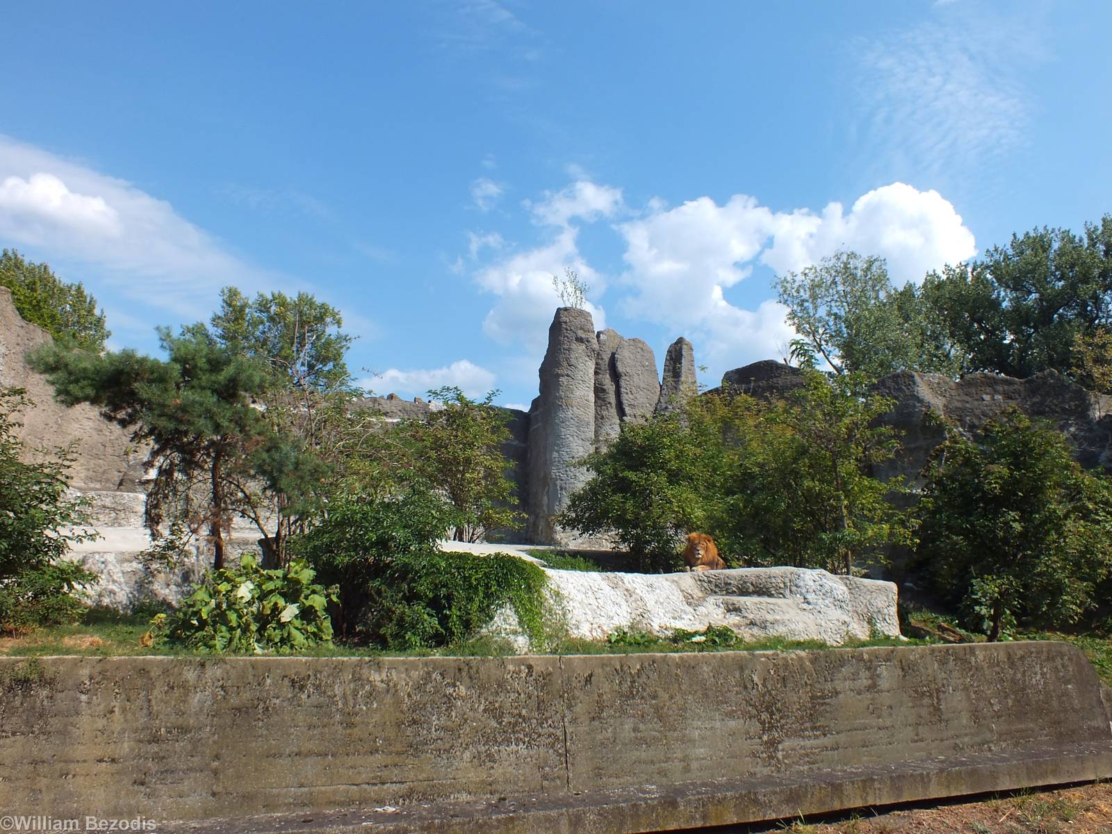 One of the Lion Enclosures