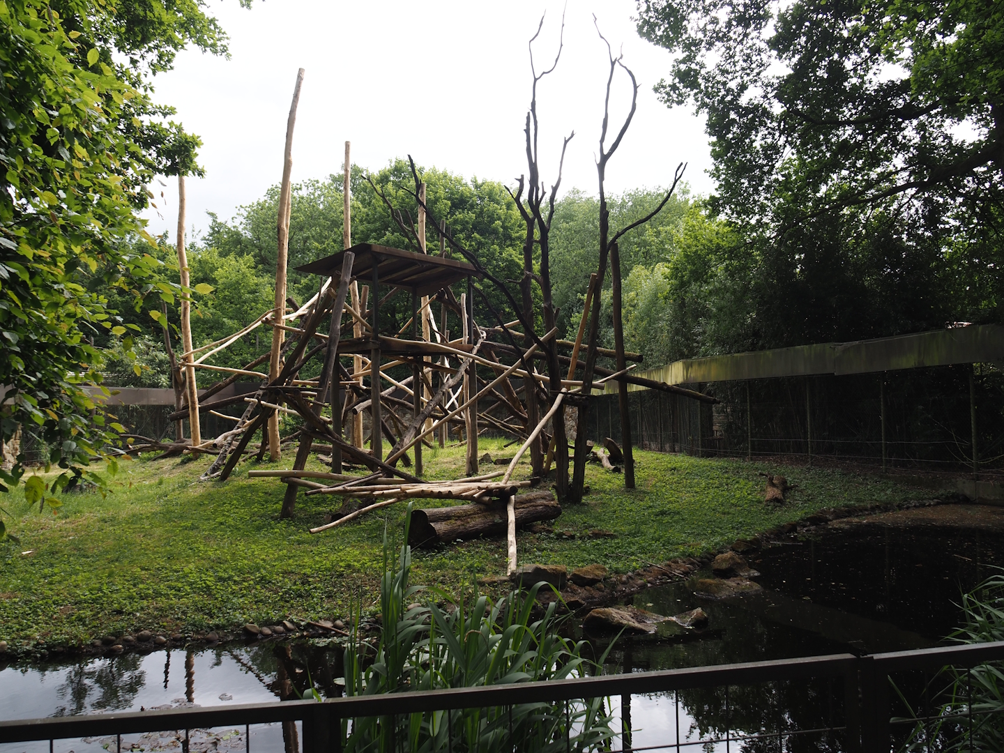 One of the Lion-tailed macaque exhibits, 2025-05-22