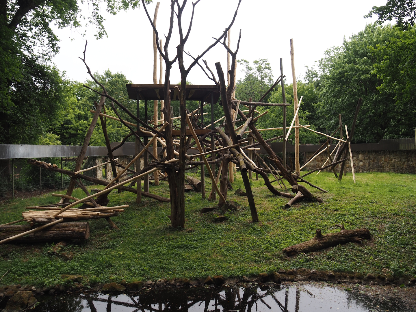 One of the Lion-tailed macaque exhibits, 2025-05-22