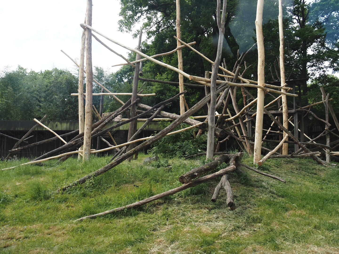 One of the Lion-tailed macaque exhibits, 2025-05-22