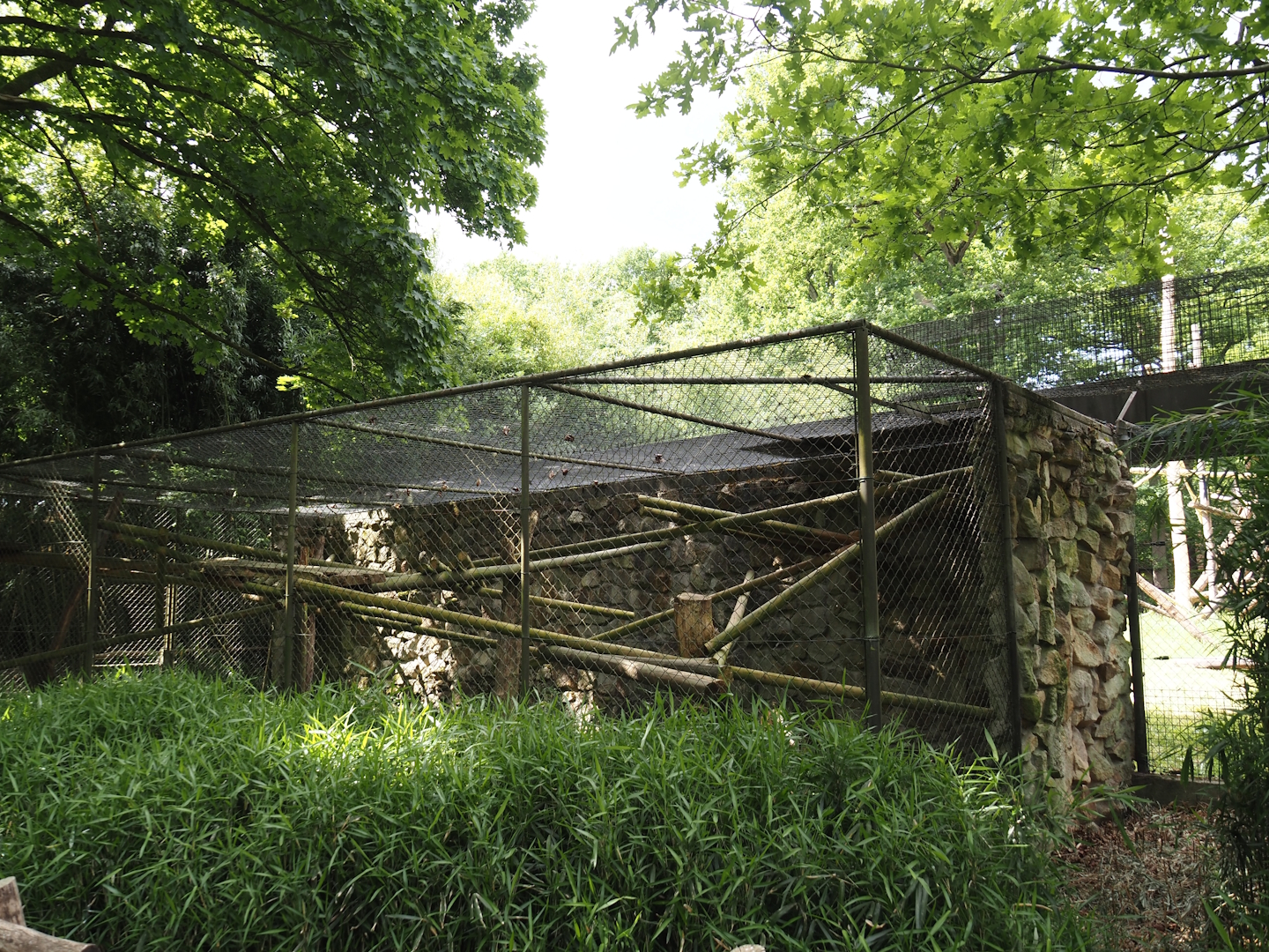 One of the Lion-tailed macaque exhibits, 2025-05-22