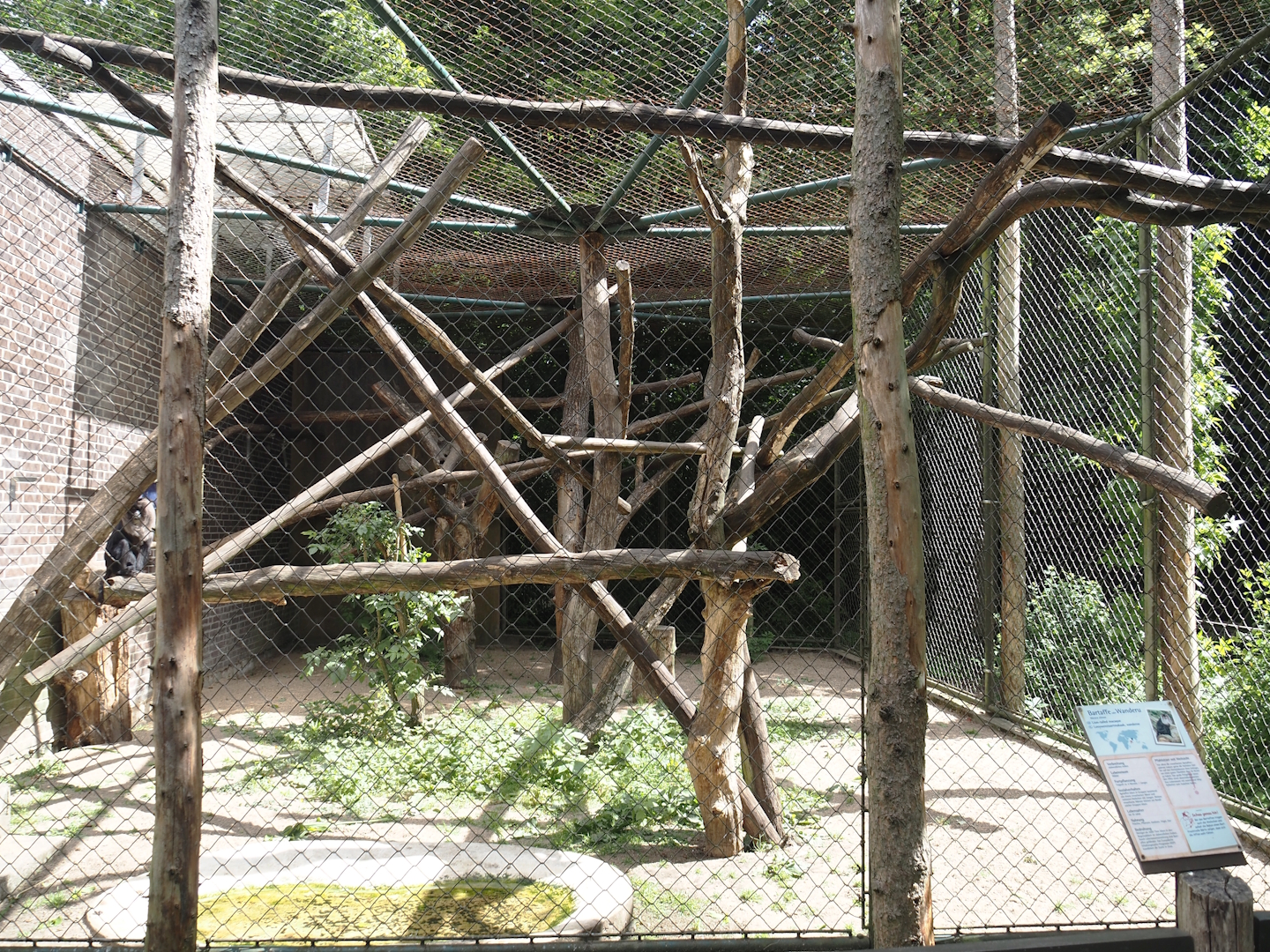 One of the Lion-tailed macaque exhibits, 2025-05-22