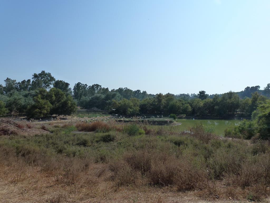 One of the main lakes, July 2013.