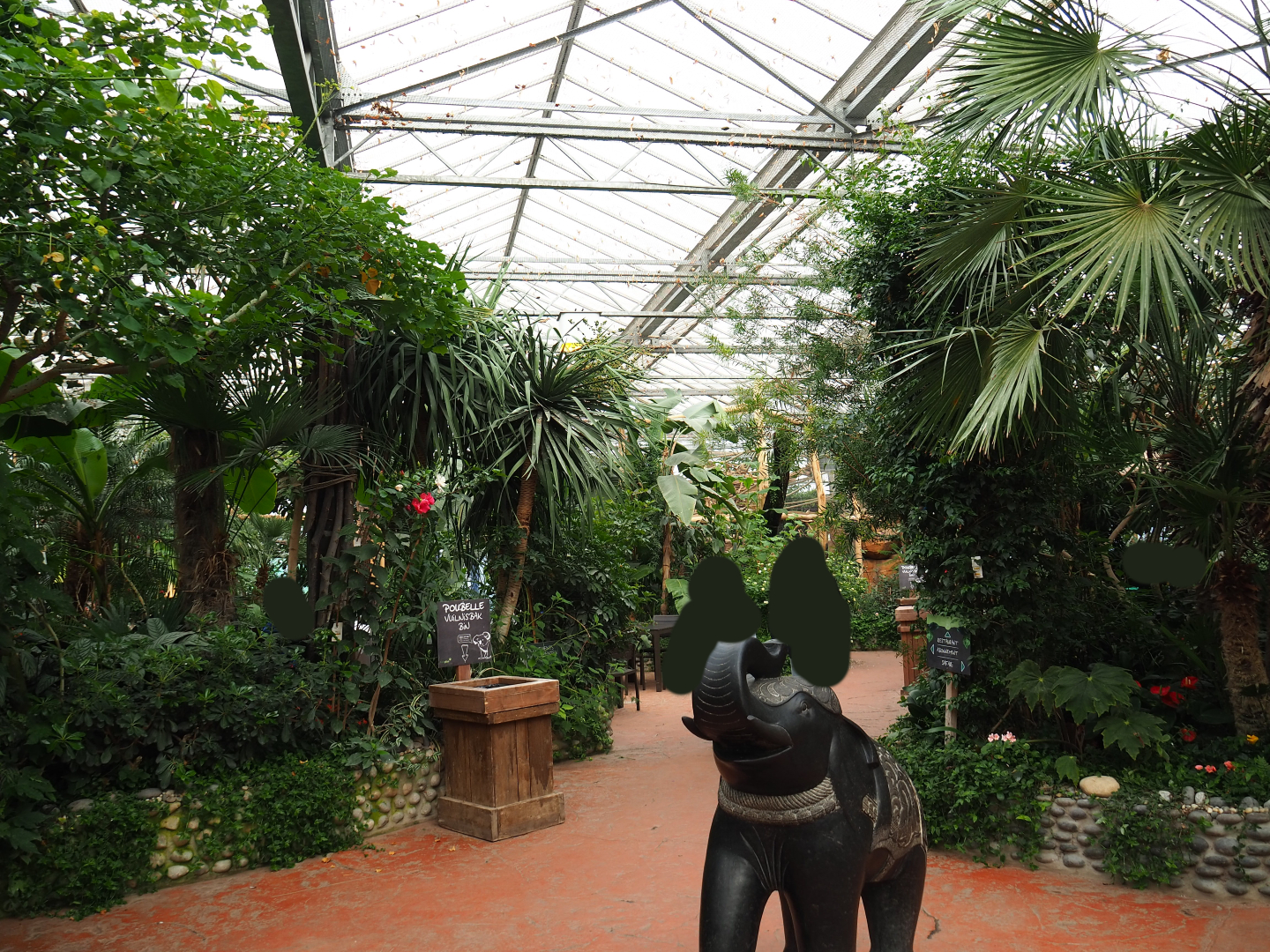 One of the main pathways in the Oasis, 2019-10-05