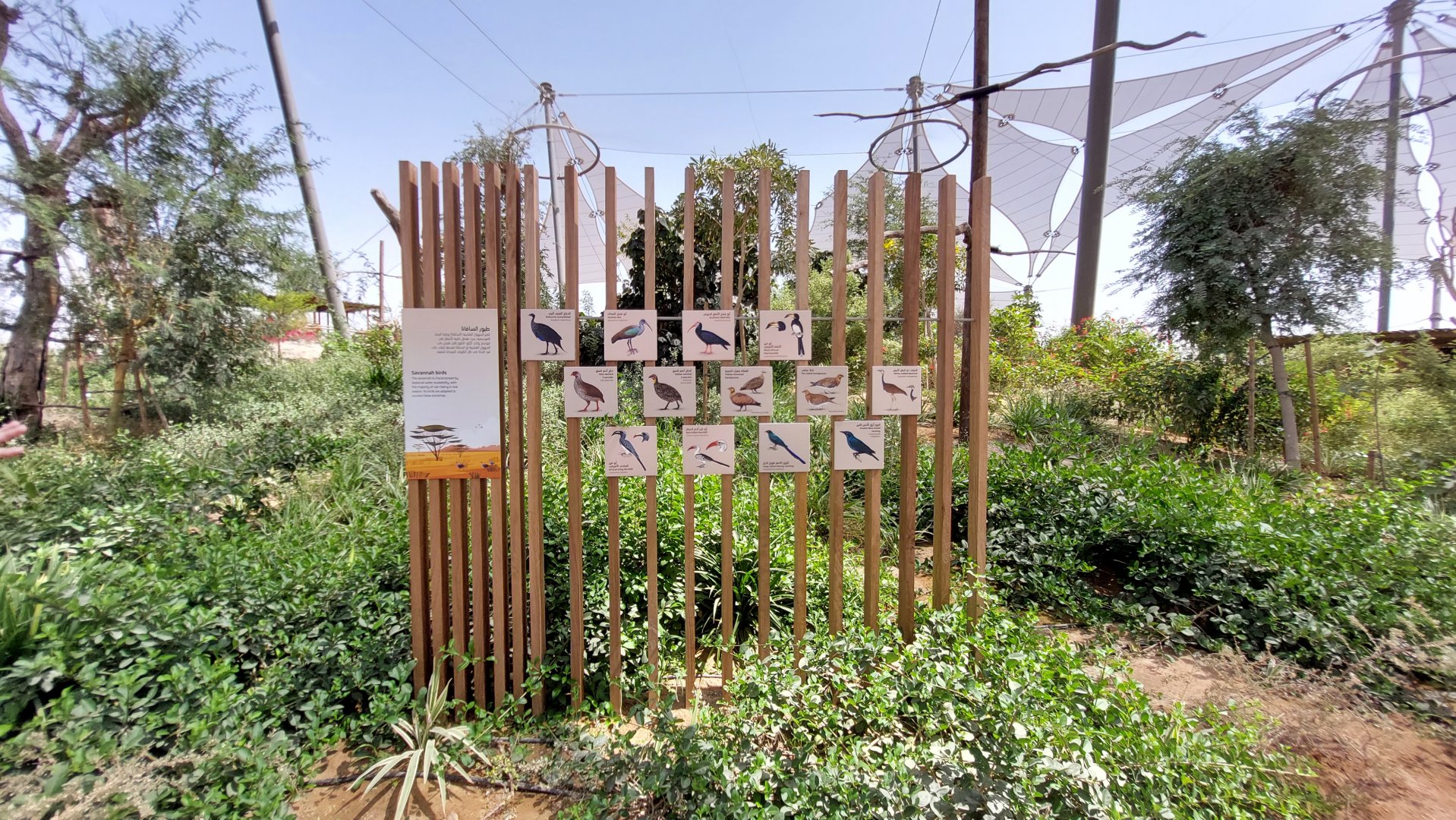 One of the many different bird signs