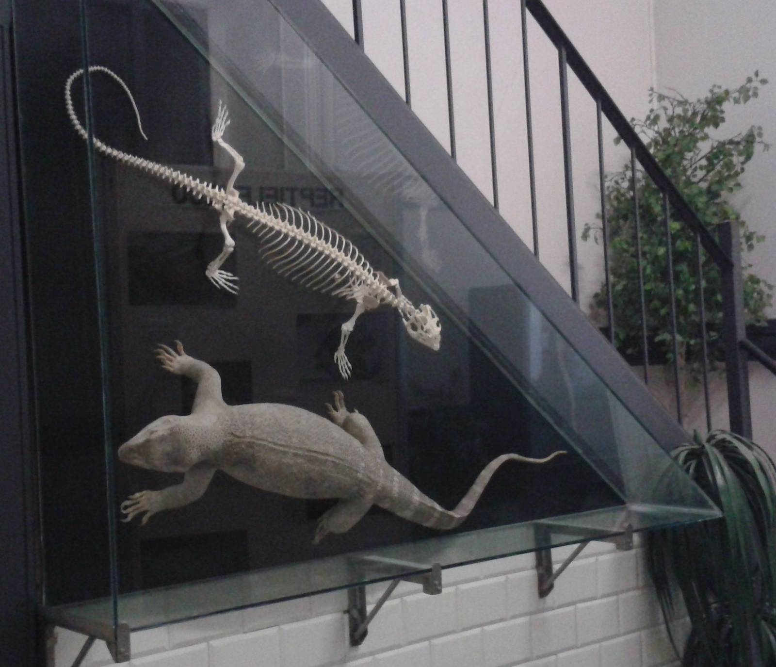 one of the many educational displays