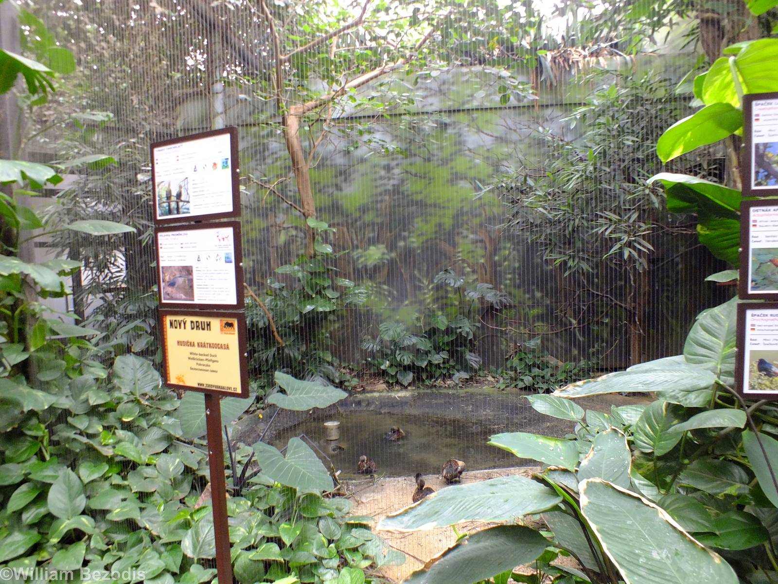 One of the Mixed Aviaries - Bird House