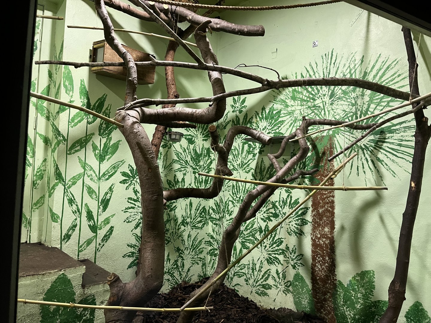 One of the monkey indoor enclosures in magic forest 29.10.23