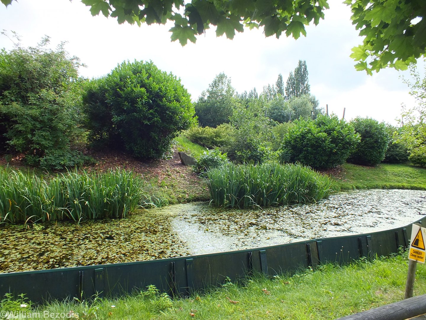 One of the Monkey Islands