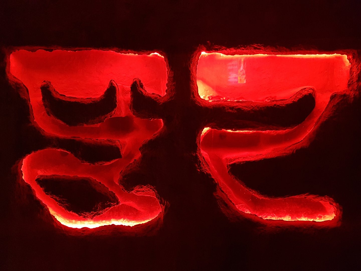 One of the Naked mole-rat enclosures