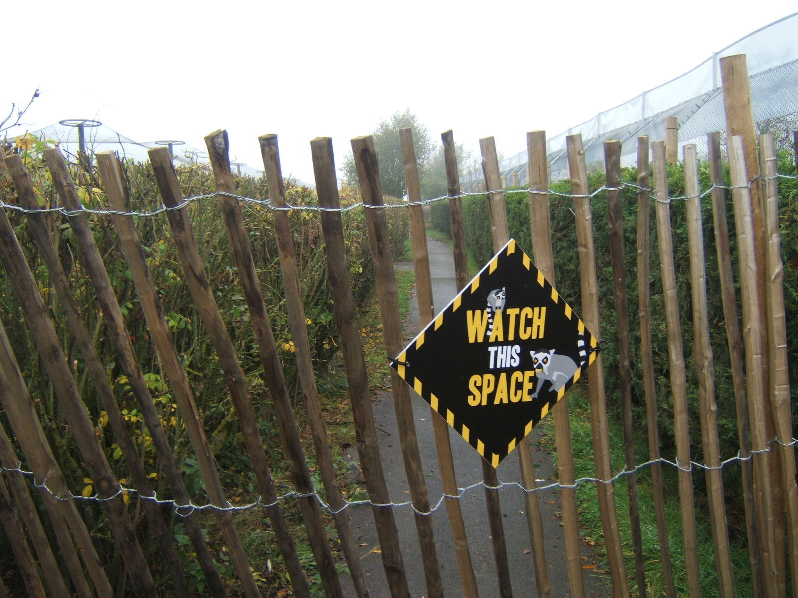 One of the next development areas