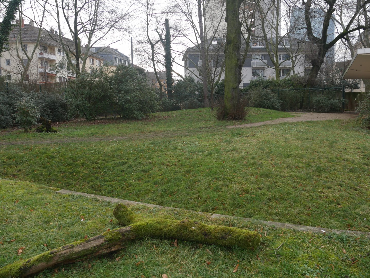 One of the okapis enclosures (January 2019)