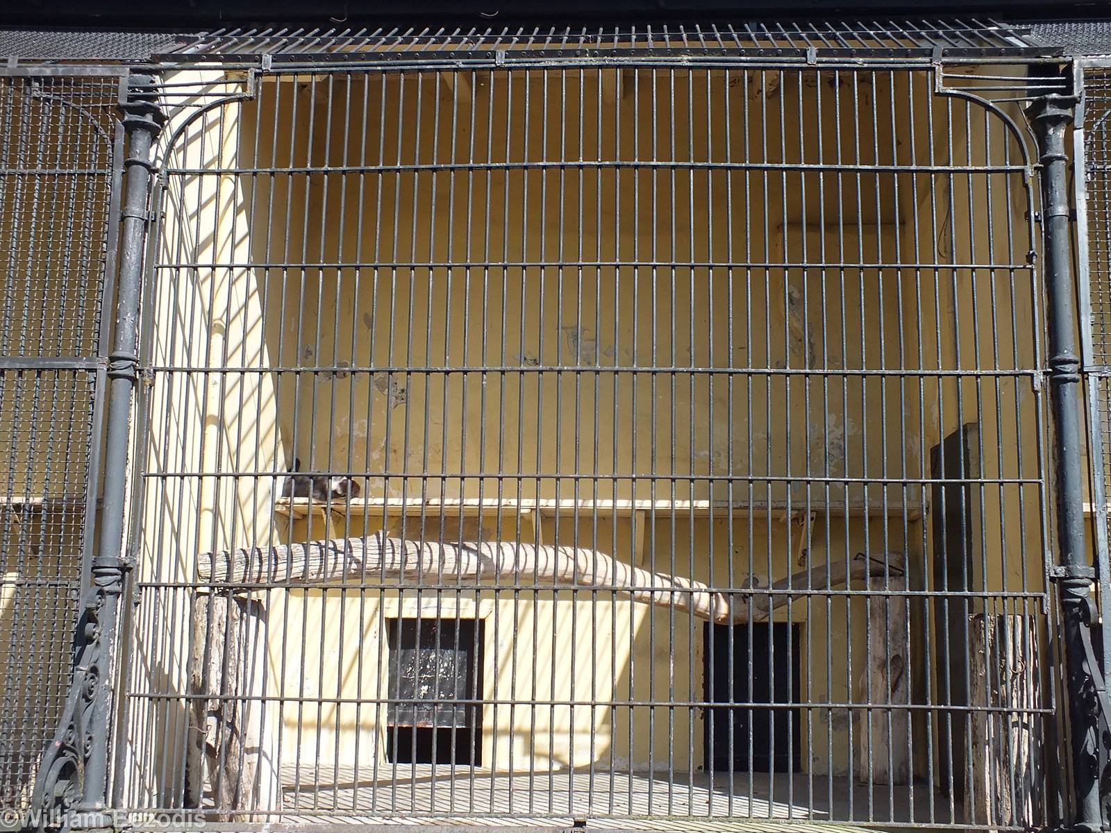One of the Old Primate Cages