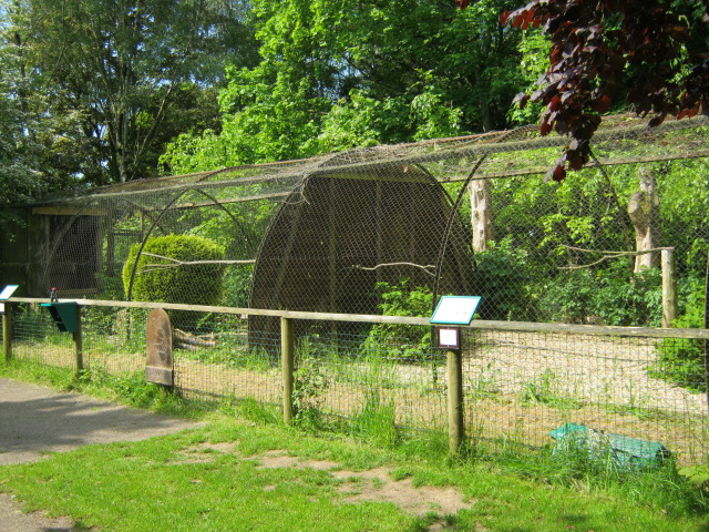 One of the older aviaries.