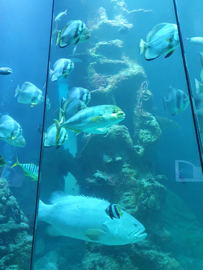 One of the older large tanks