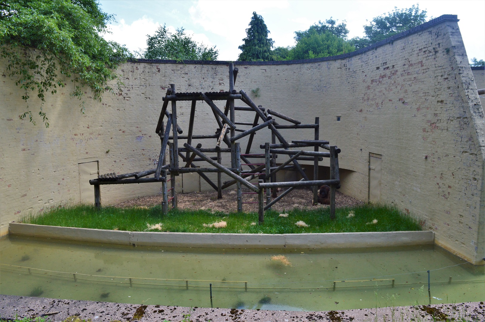 One of the orang enclosures.