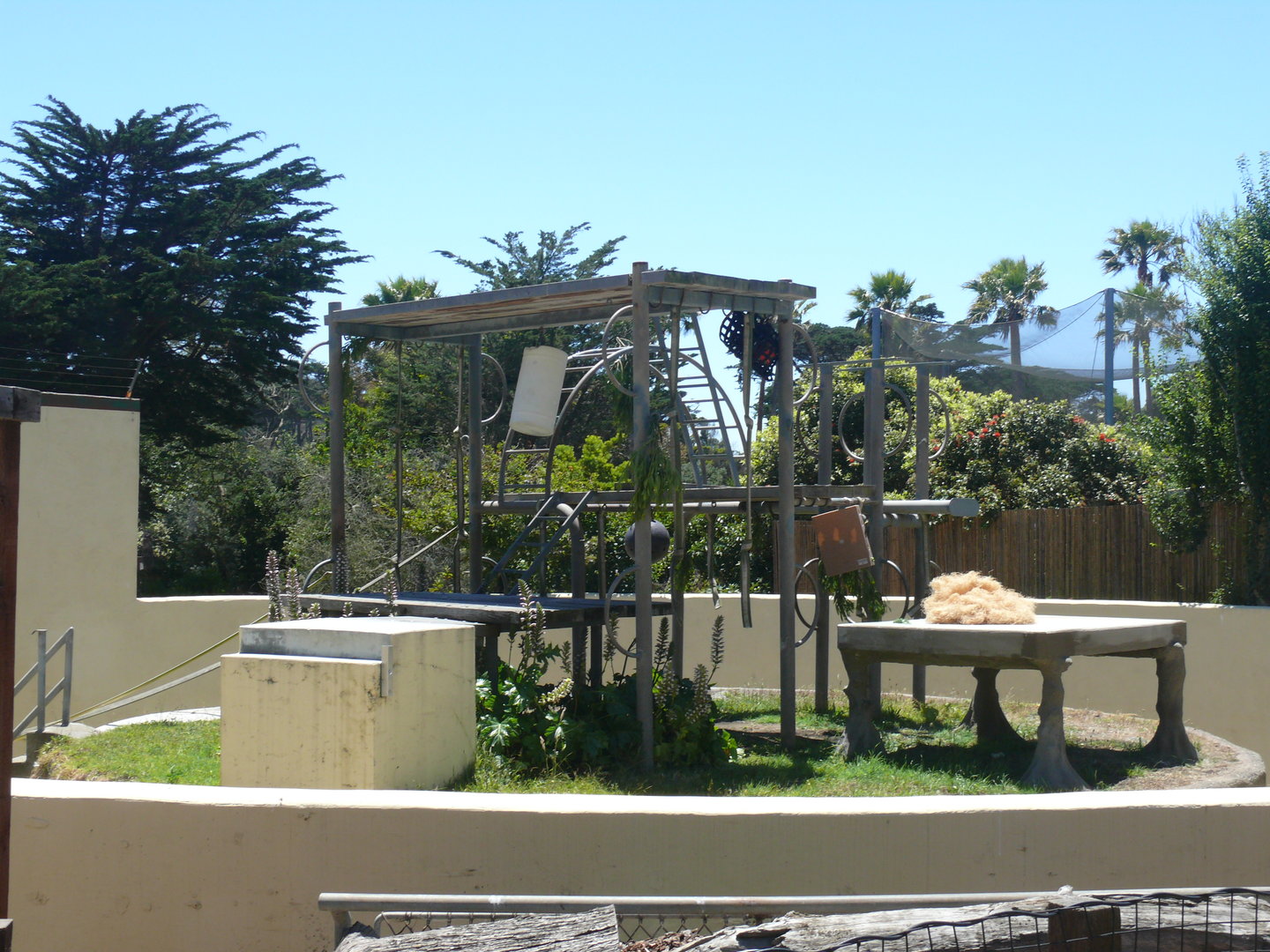 One of the Orangutan Habitats - July 8th 2023