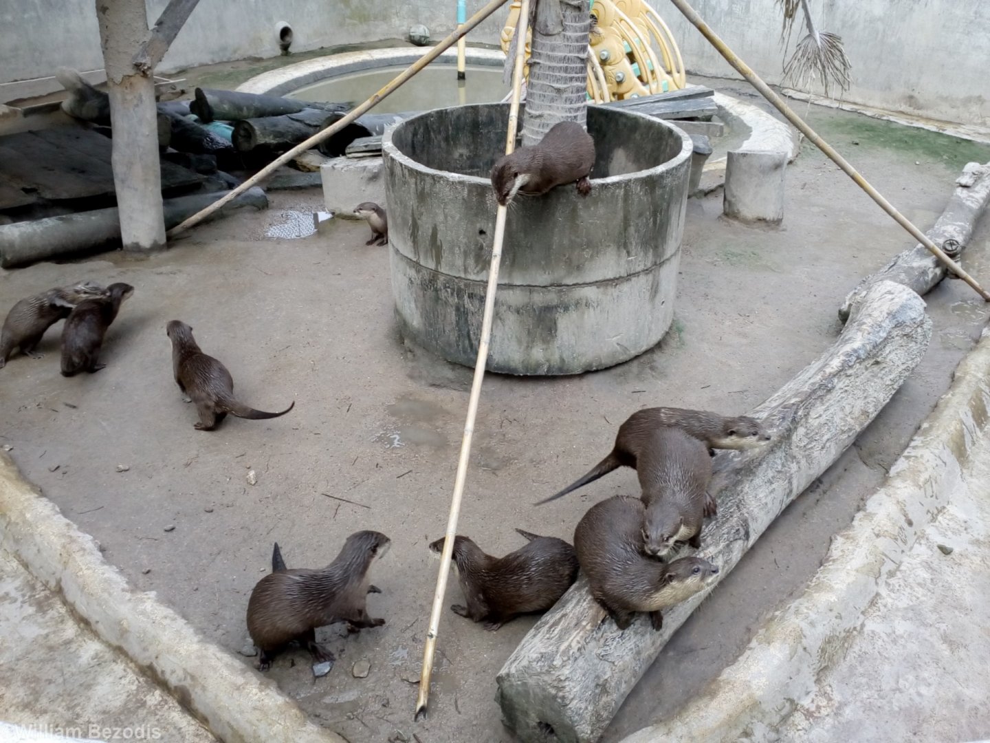 One of the Otter Enclosures