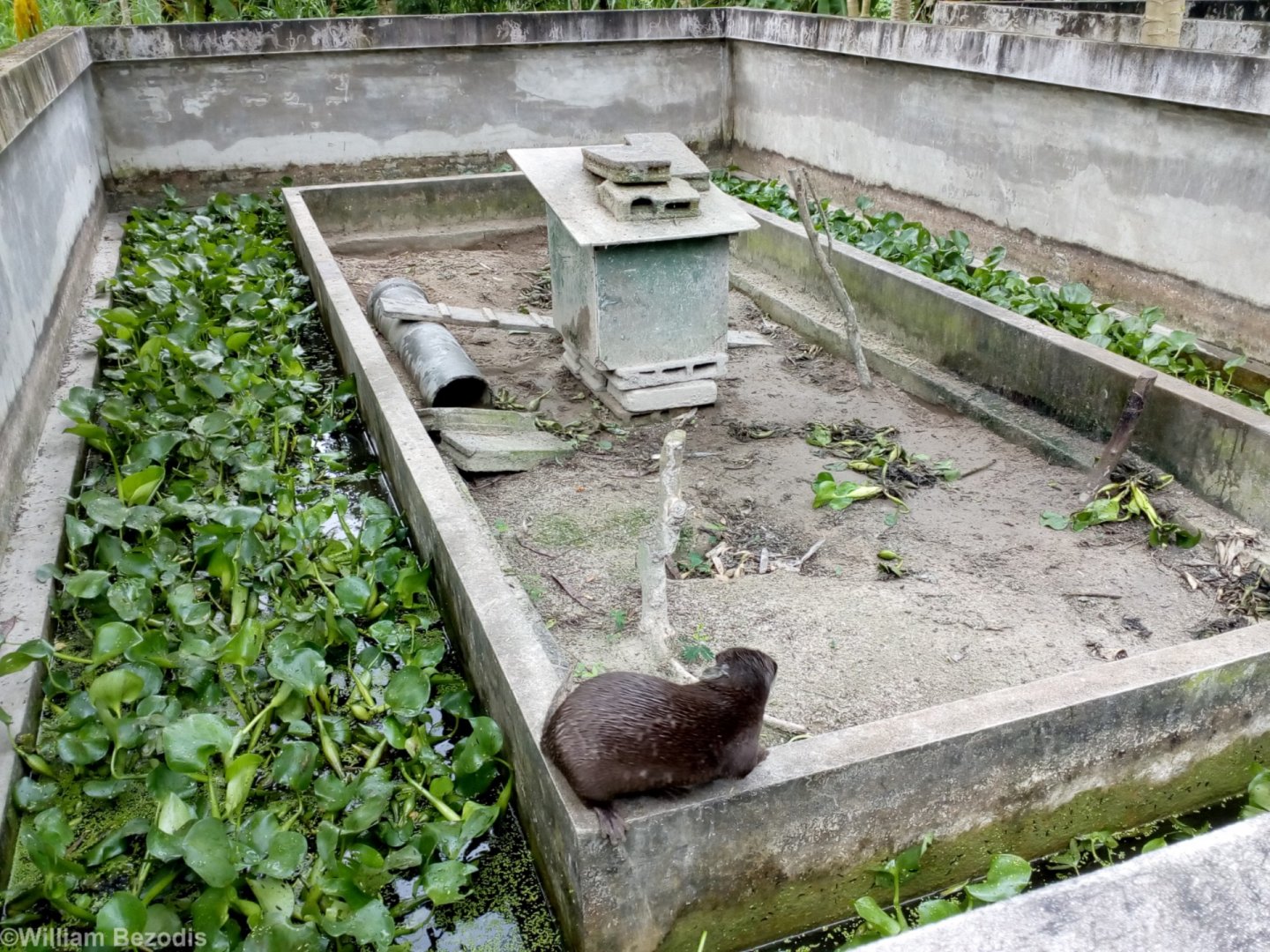 One of the Otter Enclosures
