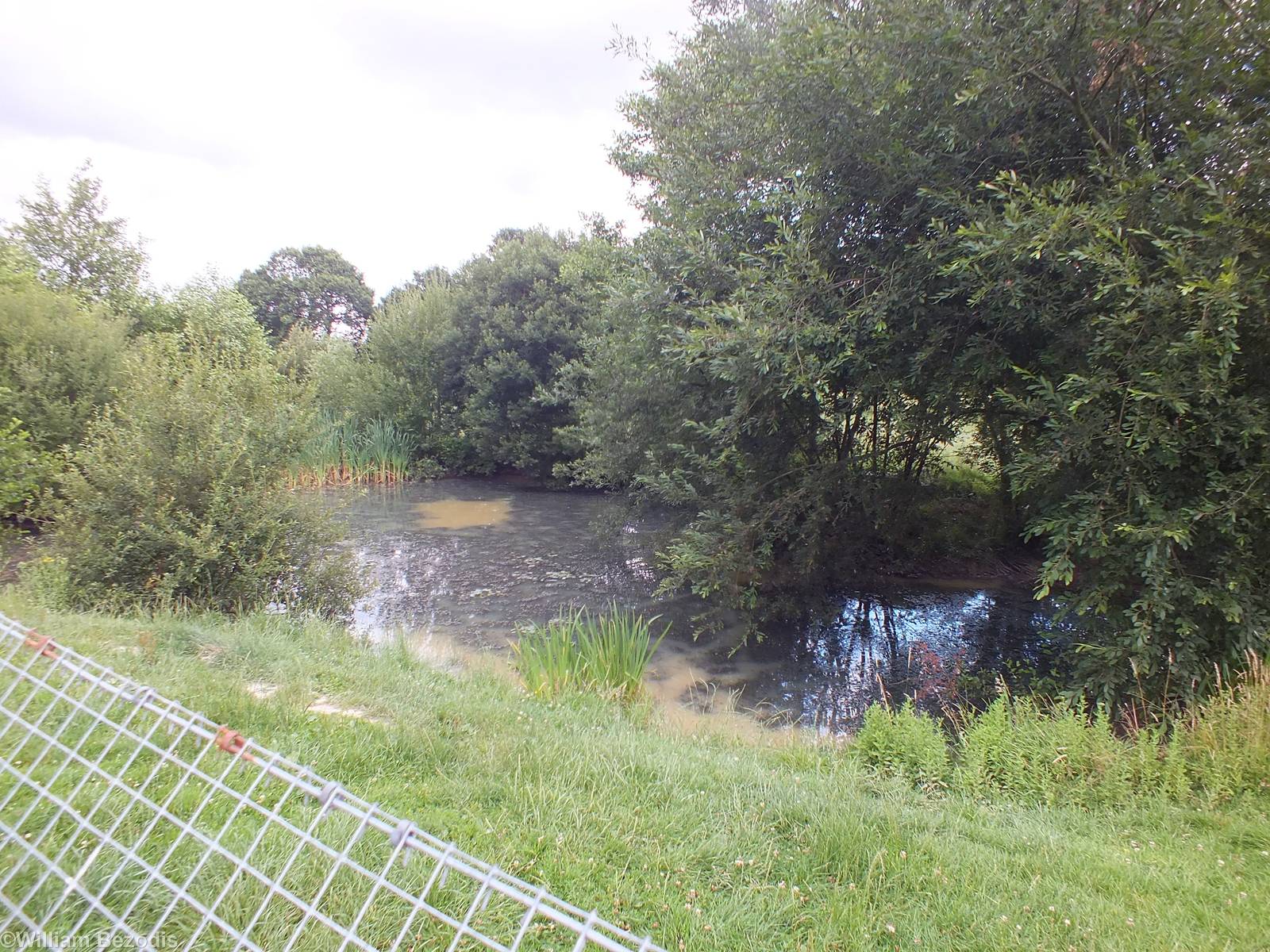 One of the Otter Pools