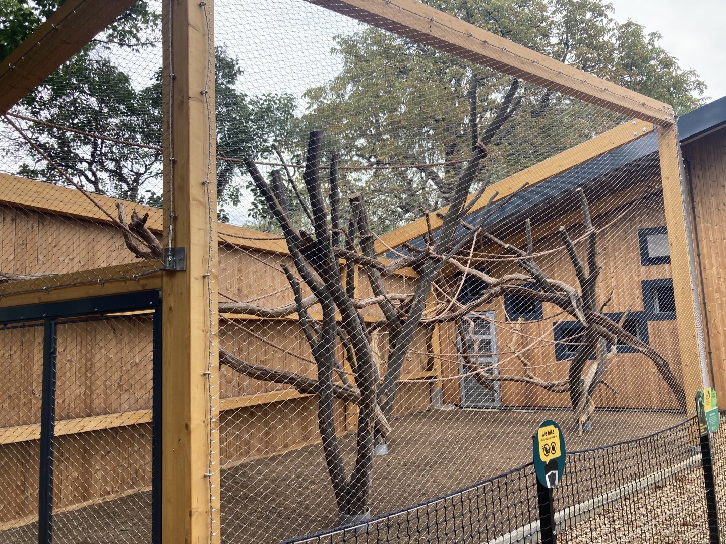 One of the outdoor colobus holdings