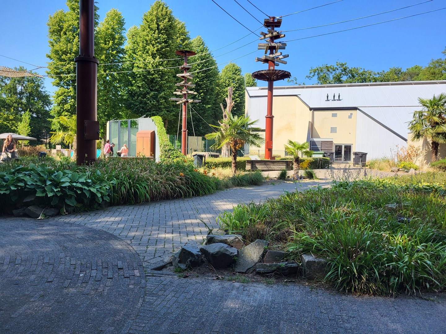 One of the outdoor Orang utan enclosures