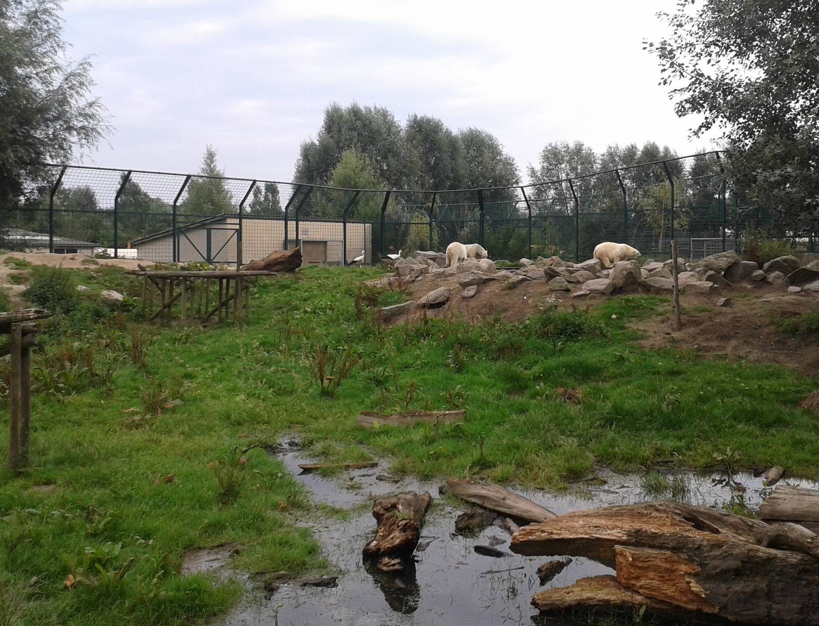 One of the Polar bear enclosures