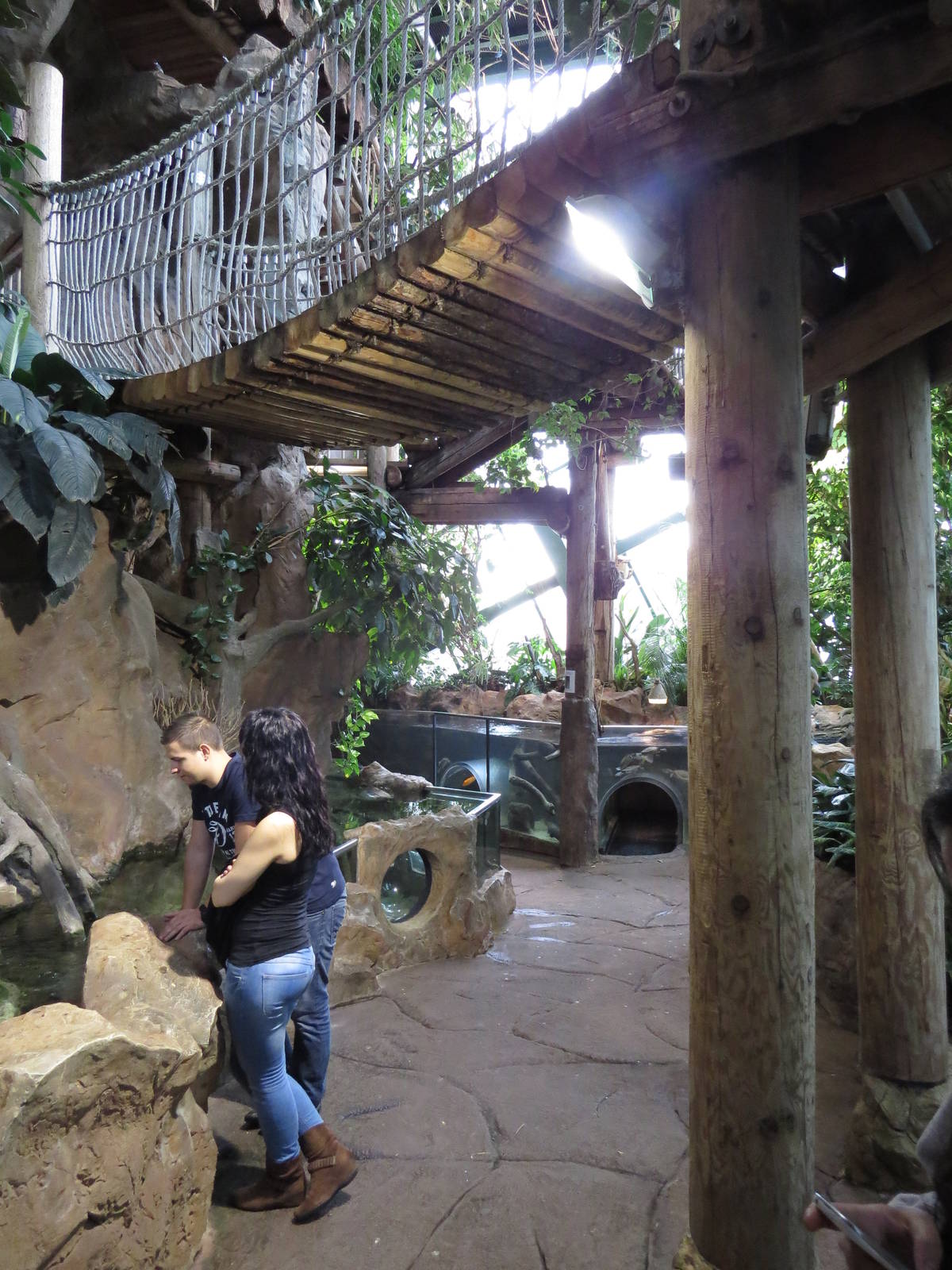 One of the rainforest walkthrough areas, October 2014.