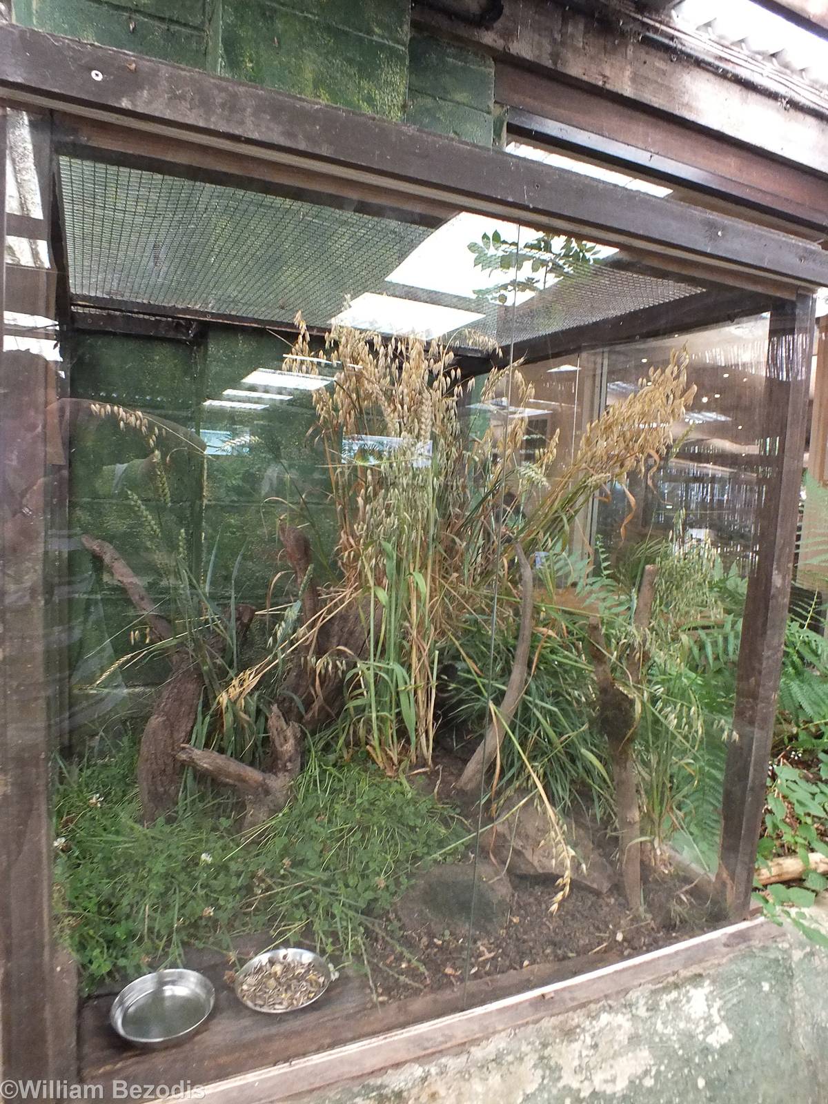 One of the Rodent Enclosures