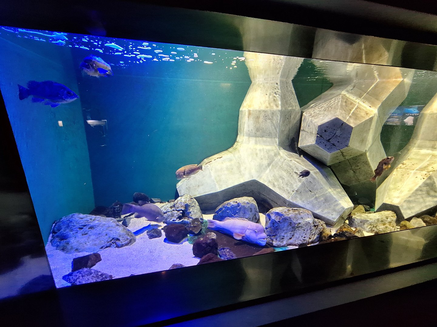 One of the Seto inland sea tank