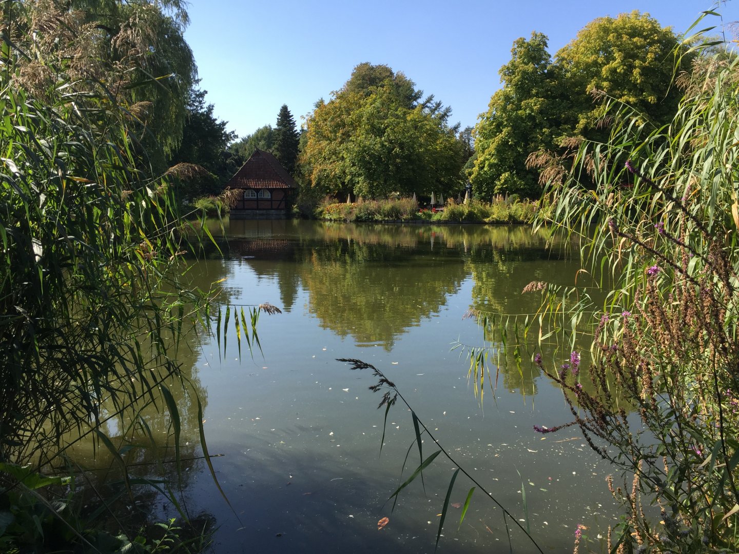 One of the small lakes without birds.