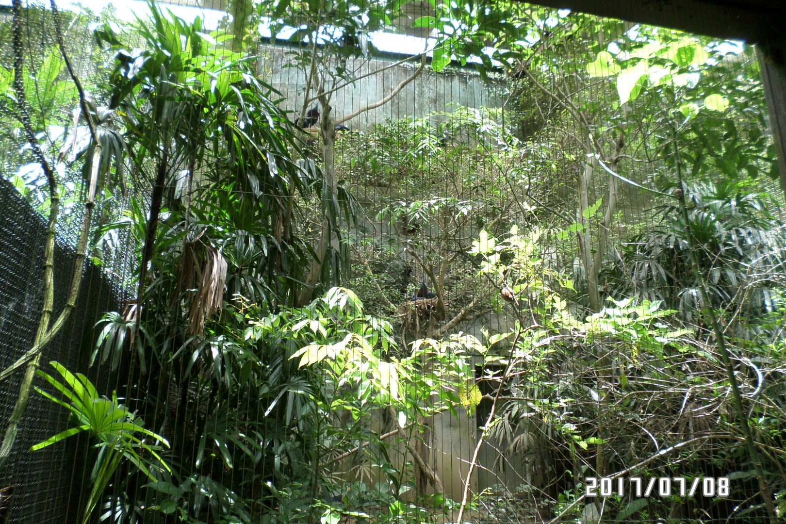 One of the smaller aviary