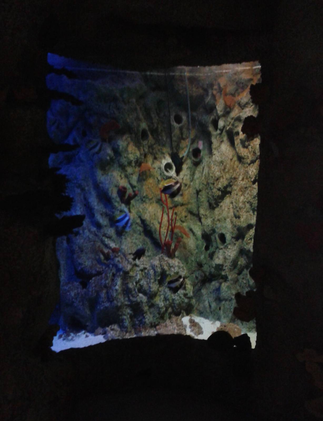 One of the smaller Coral aquariums