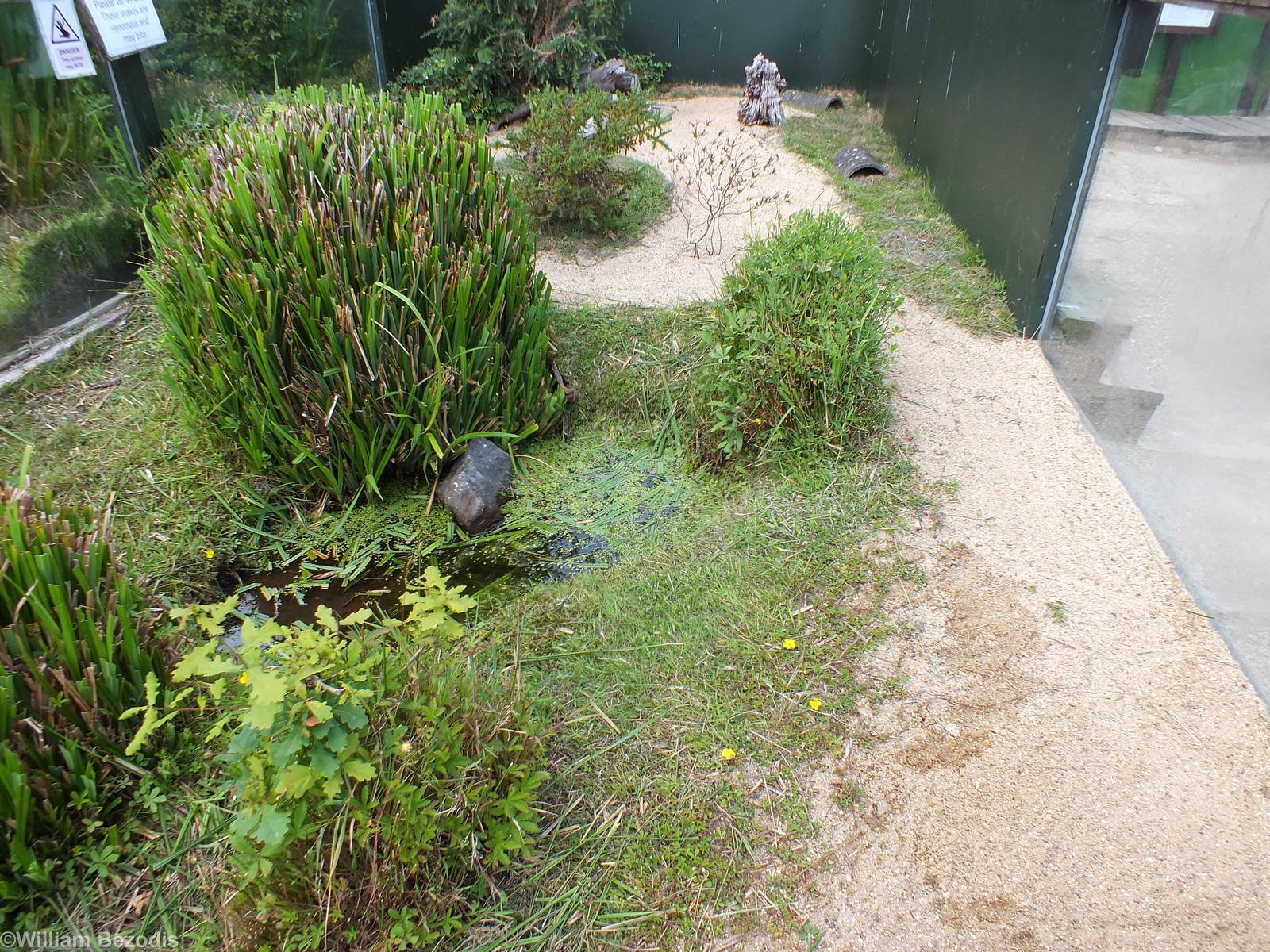 One of the Snake Enclosures