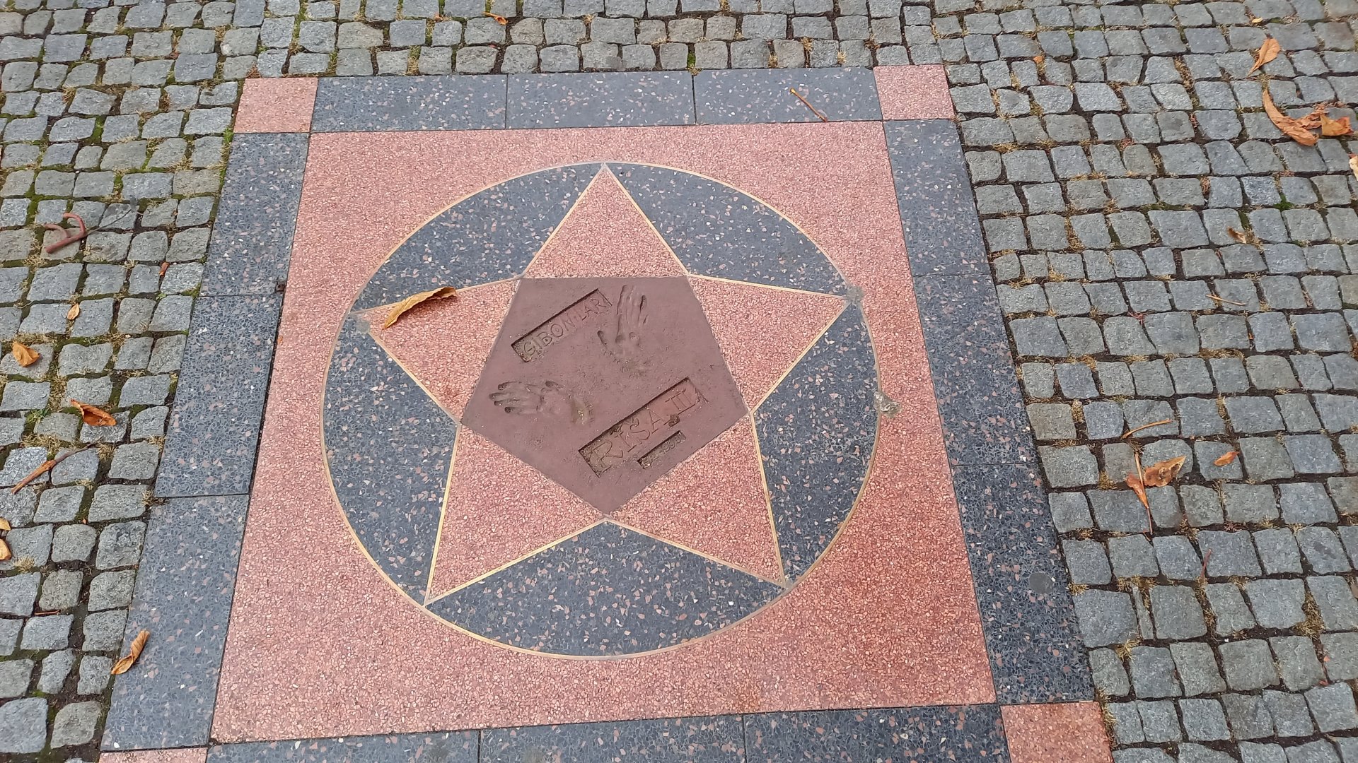 One of the stars of the "Walk of Fame"