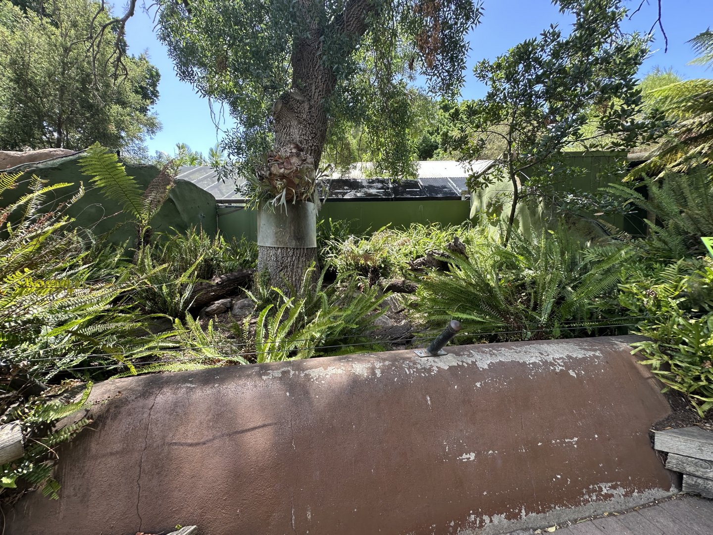 One of the Tasmanian devil exhibits