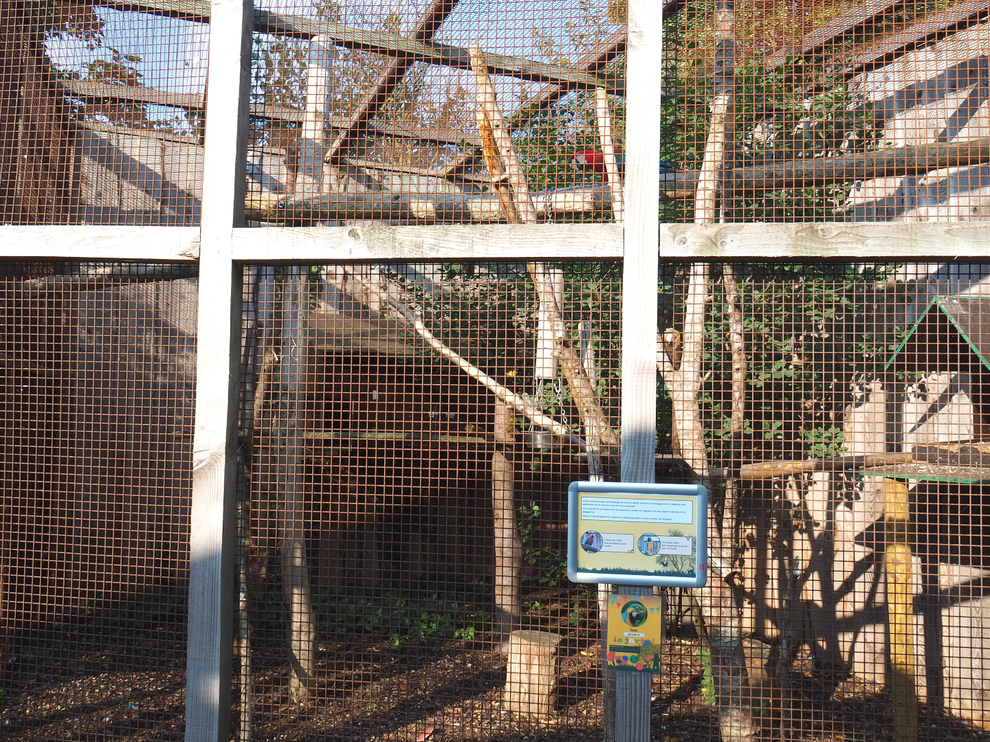 One of the three macaw aviaries (Blue-and-gold macaw and Green-winged macaw pair), 2020-09-12