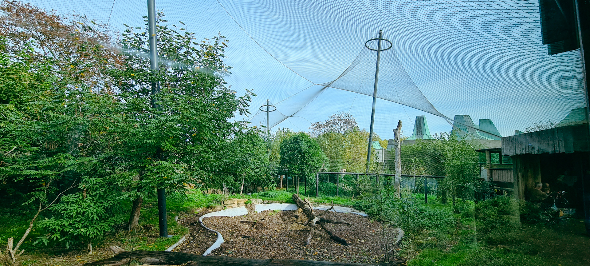 One of the Tiger enclosures